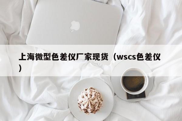上海微型色差儀廠家現(xiàn)貨（wscs色差儀 ）